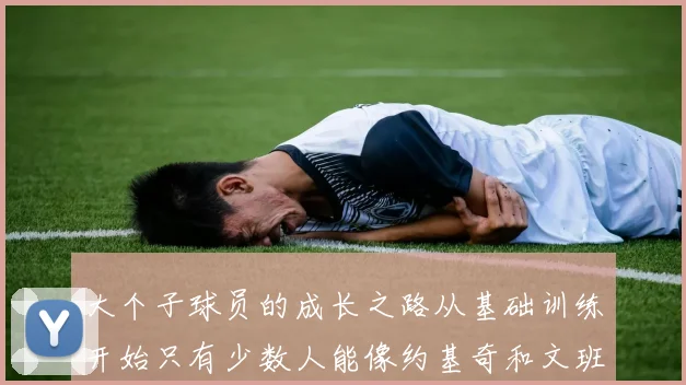 大个子球员的成长之路从基础训练开始只有少数人能像约基奇和文班那样成功