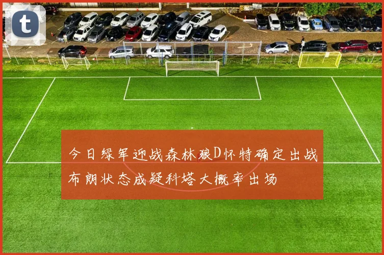 今日绿军迎战森林狼D怀特确定出战布朗状态成疑科塔大概率出场
