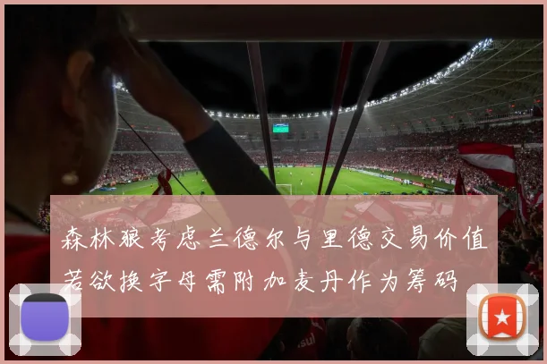 森林狼考虑兰德尔与里德交易价值若欲换字母需附加麦丹作为筹码